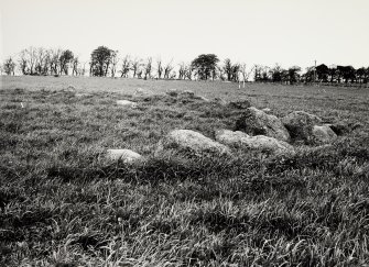 Raigmore Stone Circle Inveness General Views