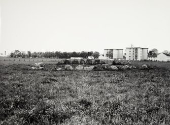 Raigmore Stone Circle Inveness General Views