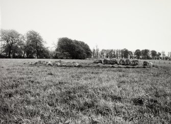 Raigmore Stone Circle Inveness General Views