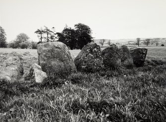 Raigmore Stone Circle Inveness General Views