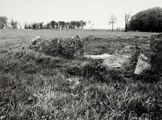 Raigmore Stone Circle Inveness General Views