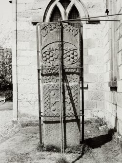 Rosemarkie Stone Rossshire, General Views