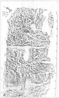 Rubbing of deer carved on rock outcrop