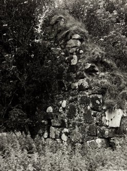 Skeabost Island, N.W. Portree, Skye Chapels and Graveyard