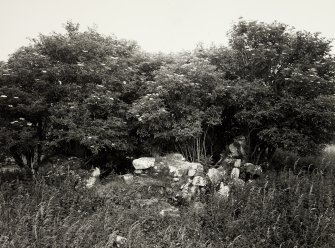 Skeabost Island, N.W. Portree, Skye Chapels and Graveyard