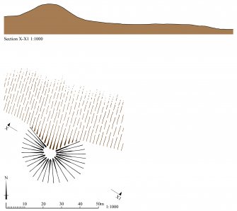 Tillydrone motte, plan and section