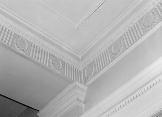 Newton Don (by Kelso). Interior.
Staircase hall, detail of ceiling.