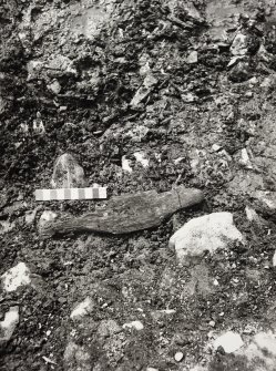 Threave Castle Excavations 1974 