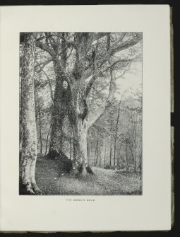 Estate Exchange. Ederline. No. 1481 Sales Brochure

Title: 'Particulars of the Estate of Ederline, Argyllshire'
Includes details of Ederline Mansion House and Estate, grounds, Carron and Corrivalich Farm, Finiechem Farm.