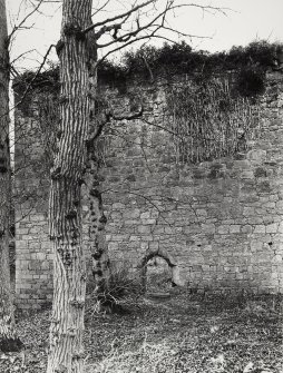 Yester Castle General Survey