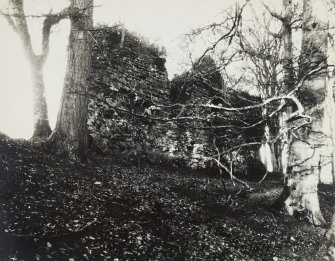 Kinclaven Castle, Pertshire