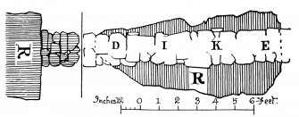 Bankhead, Clatt; Plan and Section (PSAS 36, 1901-1902, fig 71, p555)