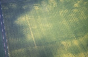 Aerial view of Baddan, Kirkton Farm, near Golspie, East Sutherland, looking SE.