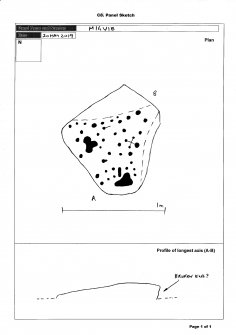 Scanned image of rock art panel sketch, from Scotland's Rock Art Project, Migvie, Aberdeenshire