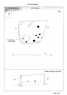 Scanned image of rock art panel sketch, from Scotland's Rock Art Project, Rosehall, Aberdeenshire