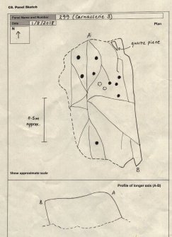 Scanned image of rock art panel sketch, from Scotland's Rock Art Project, Carnassarie Farm 3, Kilmartin, Argyll and Bute