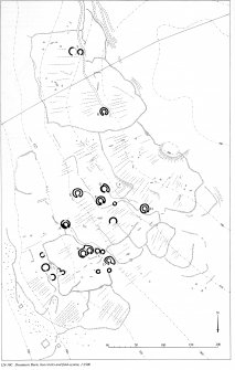 Plan. RCAHMS 1990, 124.10C (NE Perth)