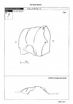 Scanned image of rock art panel sketch, from Scotland's Rock Art Project, Balnafoich 2, Highland