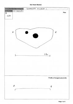 Scanned image of rock art panel sketch, from Scotland's Rock Art Project, Inverness Museum 1, Highland