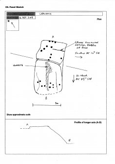 Scanned image of rock art panel sketch, from Scotland's Rock Art Project, Leanach, Highland