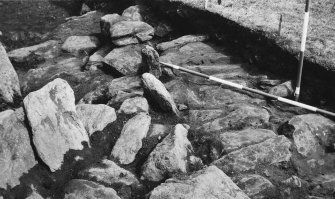 Excavation photograph - Norse level. Occurrence of late wheelhouse pottery in peat ash deposit, left foreground.
