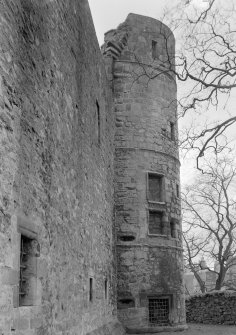 View of Avondale Castle tower.