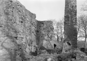 View of Avondale Castle.