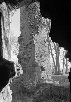 General view of Avondale Castle.