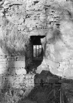 Detail of window, Avondale Castle.