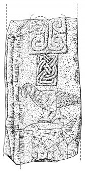 Scanned ink drawing of Latheron 1 ogham-inscribed Pictish cross slab fragment