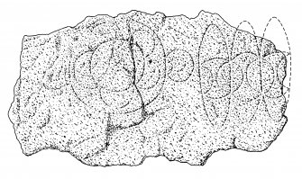 Scanned ink drawing of Birkle Hills Pictish symbol stone