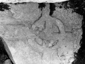 Bute, Inchmarnock, Remains of Chapel.
Cross-decorated stone (no.8), found 1973.
Copy of photograph by D N Marshall.
