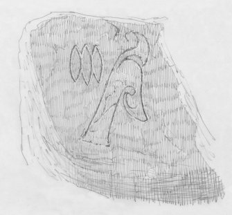 Scanned survey drawing of Pictish symbols (triple oval, flower) in Sculptor's Cave
