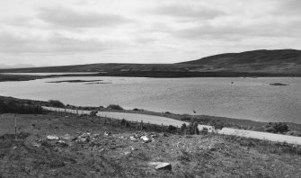 Loch Raa, hut-circles from NE