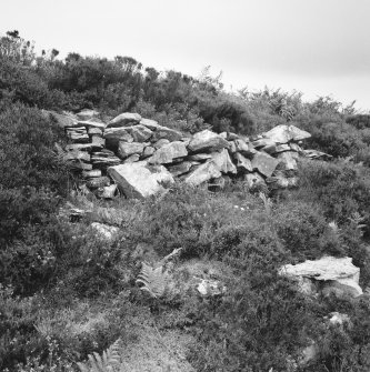 Deatil of outer wall-face of fort