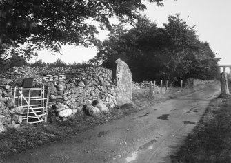 View of standing stones adjacent to road.