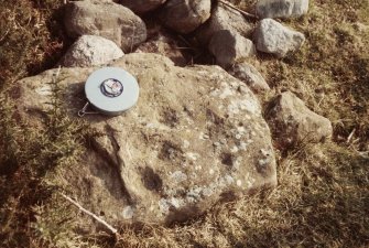Cup-marked stone