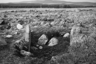 Parc-an-Caipel, Congash.
View of Pictish symbol stones, nos 1 and 2, from outside enclosure.