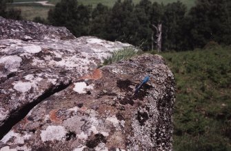 Milton: view of cup-marked boulder.