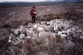 Glac Mhor: view of clearance.