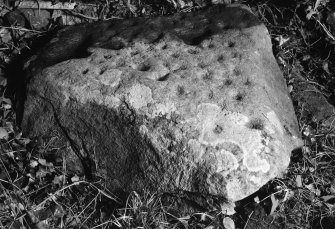 View of cup-marked stone.