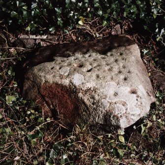 View of cup-marked stone.