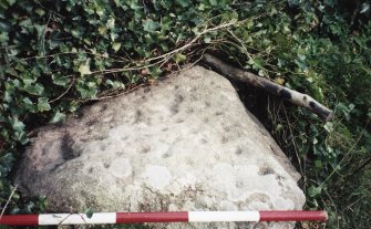 View of upper face of cup-marked boulder; photographic scale in 200mm divisions