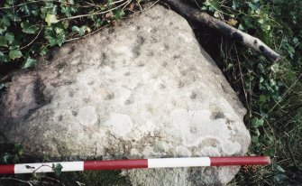 View of upper face of cup-marked boulder; photographic scale in 200mm divisions