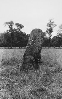 Glenkindie standing stone. View from NW.