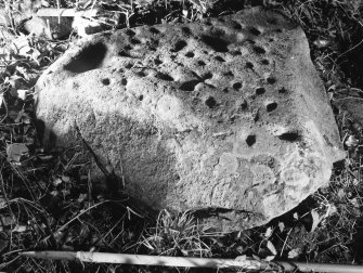 Views of cup-marked stone. One with scale.
