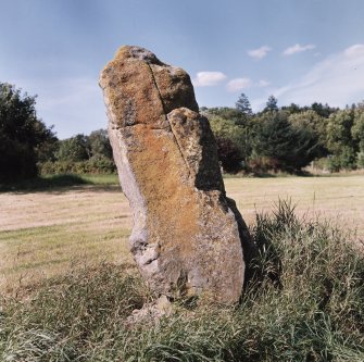 View from East-South-East.