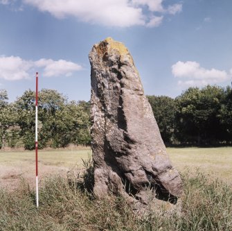 View from South-West. (2m scale in 0.5m divisions)