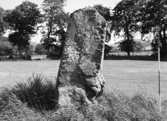 View from West. (2m scale in 0.5m divisions)