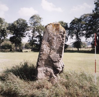 View from West. (2m scale in 0.5m divisions)